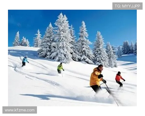 国际滑联冰面硬度的多点实时采样法